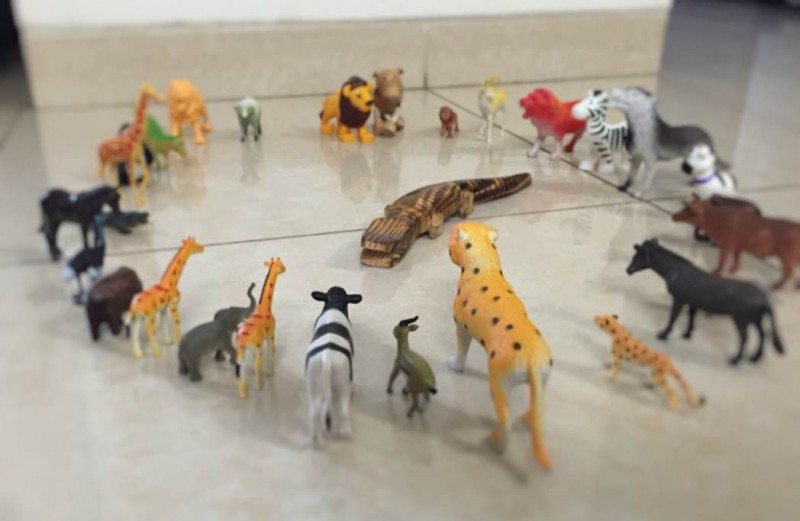 Of humans and&nbsp;animals