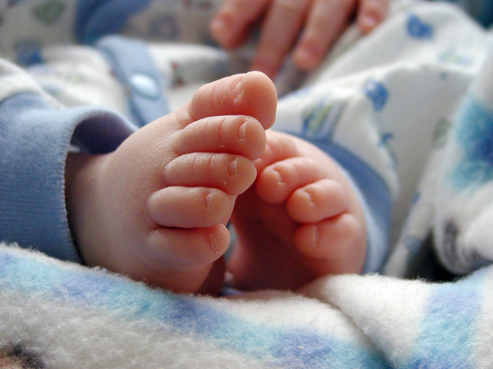 First Steps